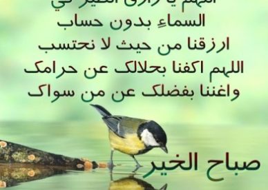 صور رمزيات أدعية دينية صور رمزيات حالات خلفيات عرض واتس اب انستقرام فيس بوك - رمزياتي